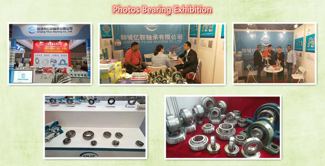 Self-Aligning Roller Bearing Cylindrical Roller Bearing Track Roller Bearing